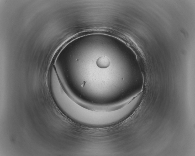 X0000112981276200909101707