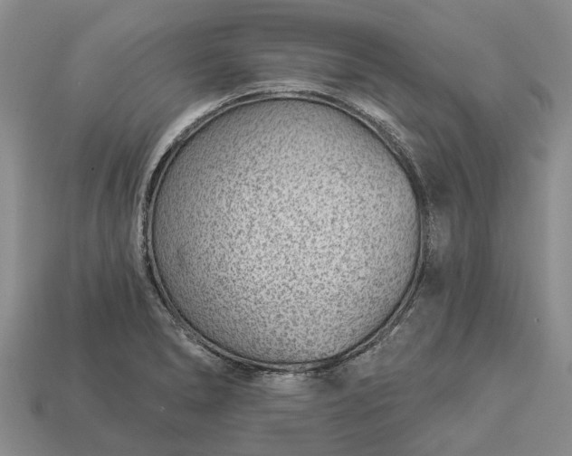 X0000112981278200909101707