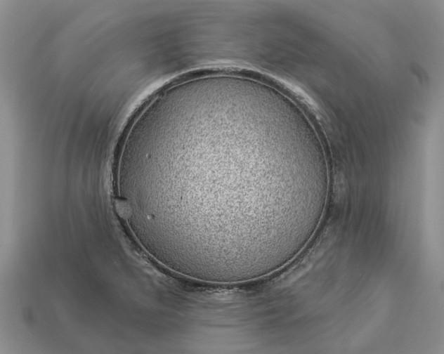 X0000112981279200909101707