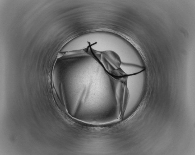 X0000112981281200909101707