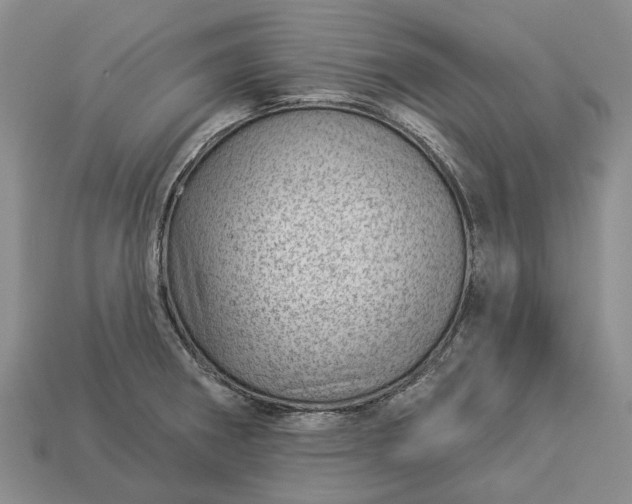 X0000112981282200909101707