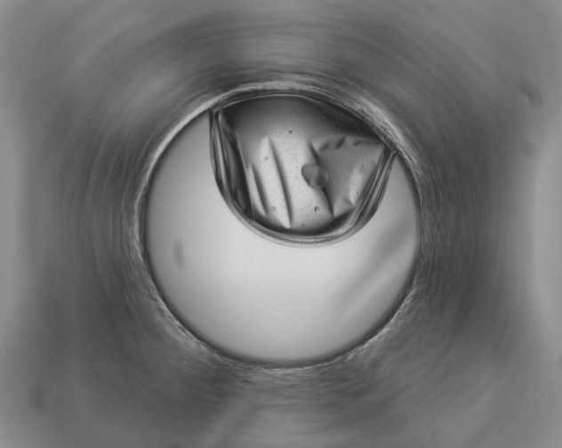 X0000112981284200909101707