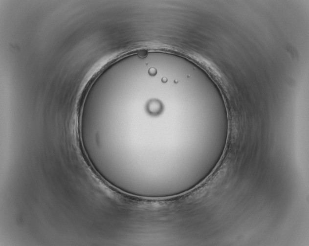 X0000112981286200909101706