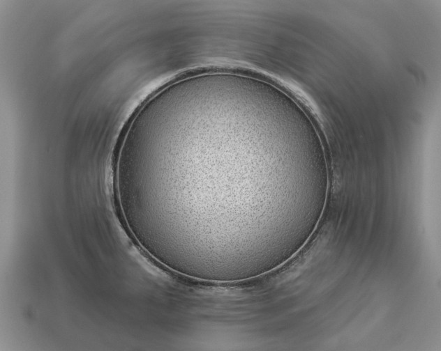 X0000112981287200909101706