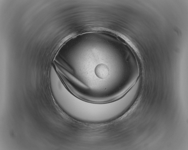 X0000112981289200909101706