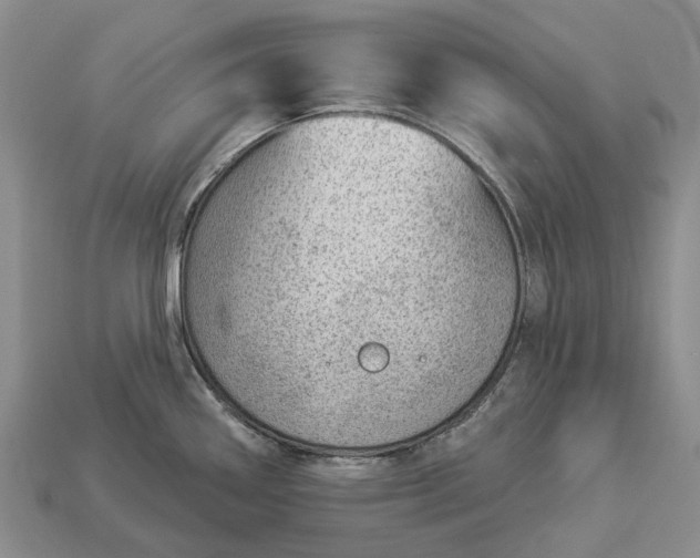 X0000112981290200909101706