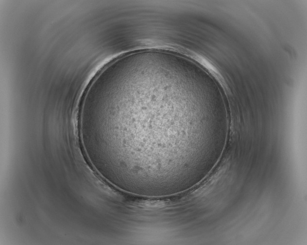 X0000112981291200909101706