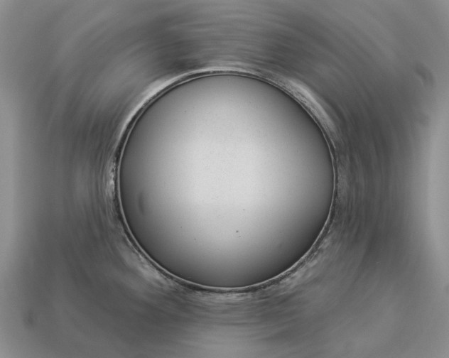 X0000112981292200909101706