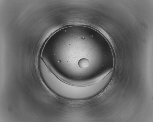 X0000112981293200909101706