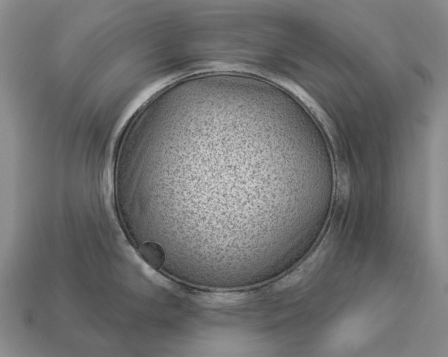 X0000112981294200909101706