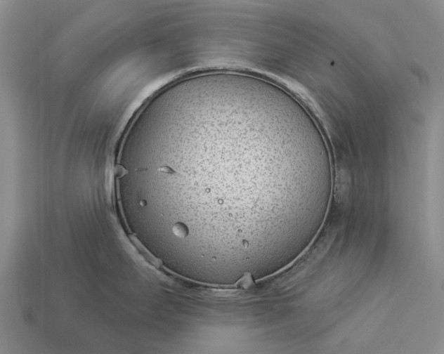 X0000112981295200909101706