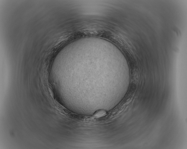 X0000112981297200909101706