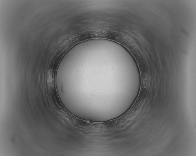 X0000112981298200909101706