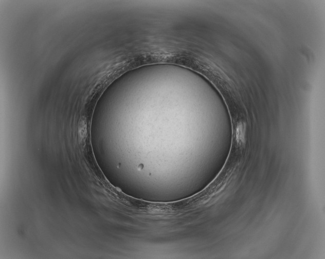 X0000112981299200909101706