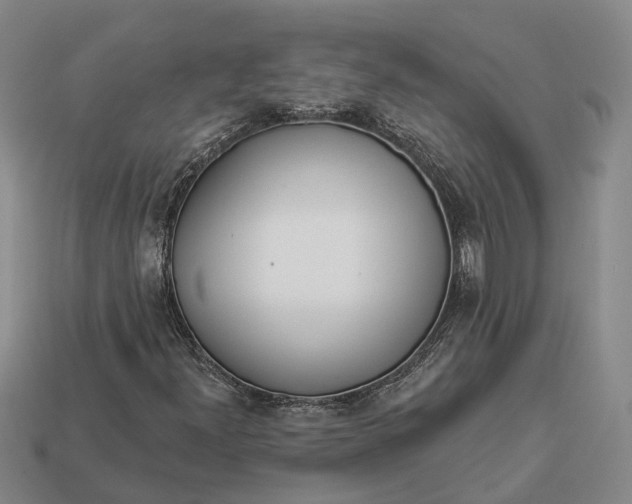 X0000112981300200909101706