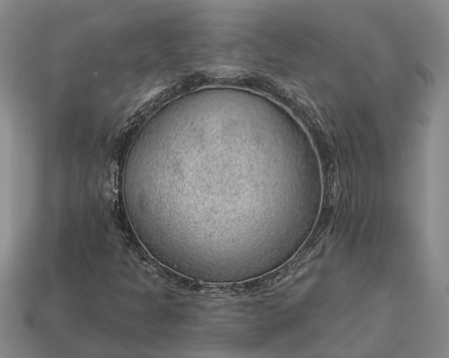 X0000112981301200909101706