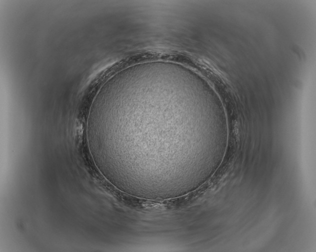 X0000112981302200909101706