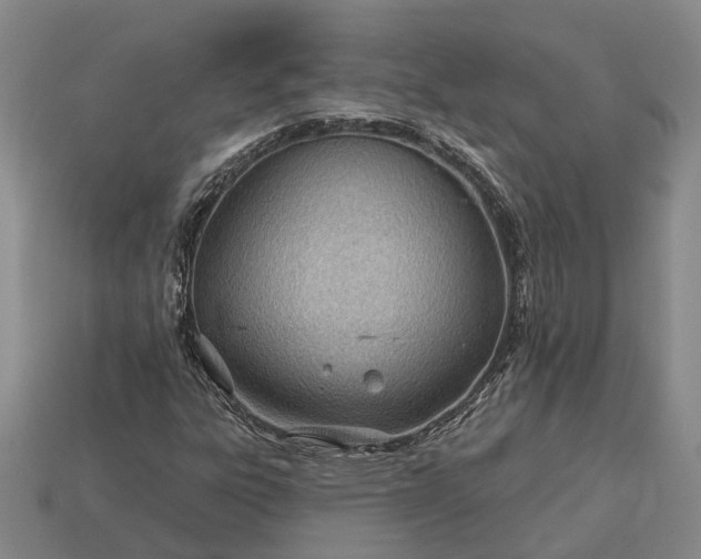 X0000112981303200909101706