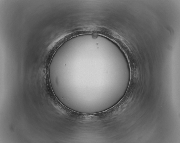 X0000112981304200909101706