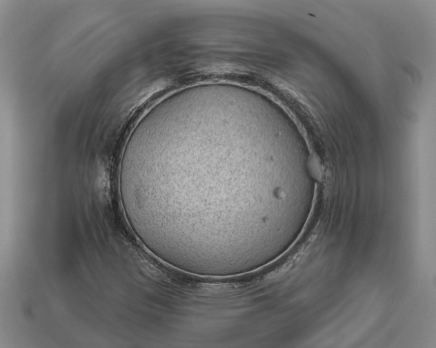 X0000112981305200909101706