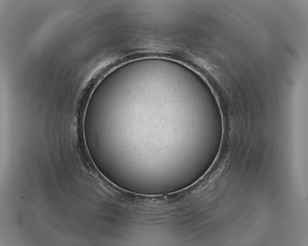 X0000112981307200909101706