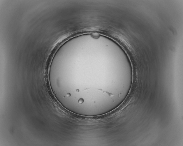 X0000112981308200909101706