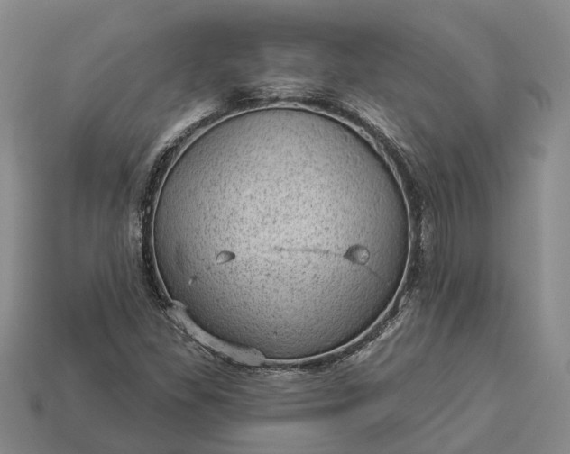 X0000112981309200909101706