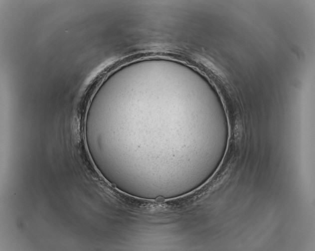 X0000112981310200909101706