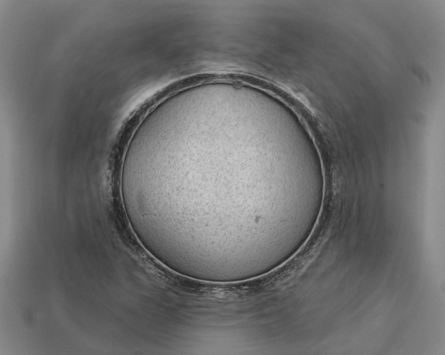 X0000112981311200909101706