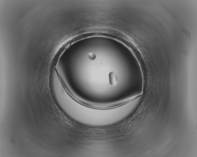 X0000112981312200909101706