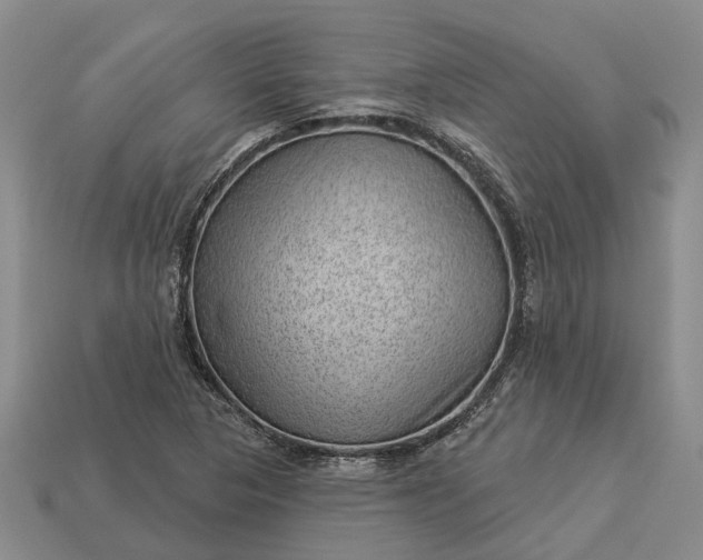 X0000112981313200909101706