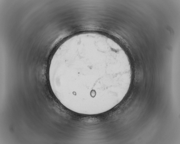 X0000112981314200909101706