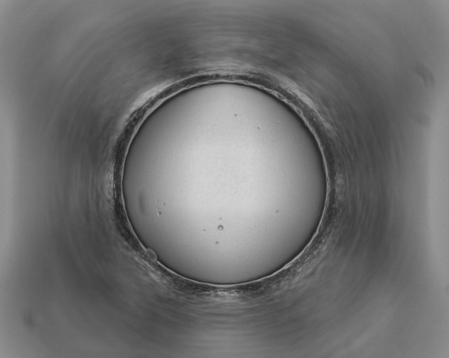 X0000112981315200909101706