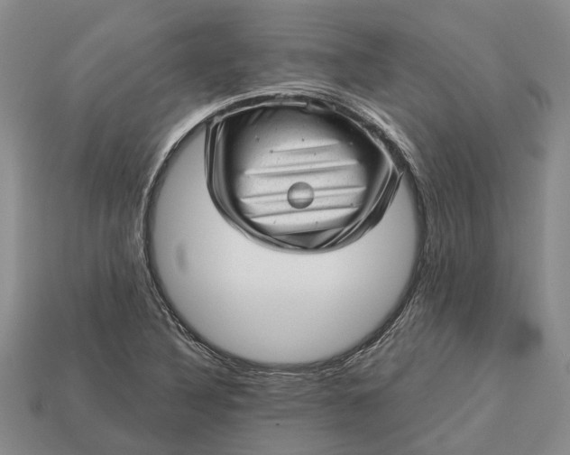 X0000112981316200909101706