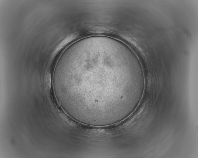 X0000112981317200909101706