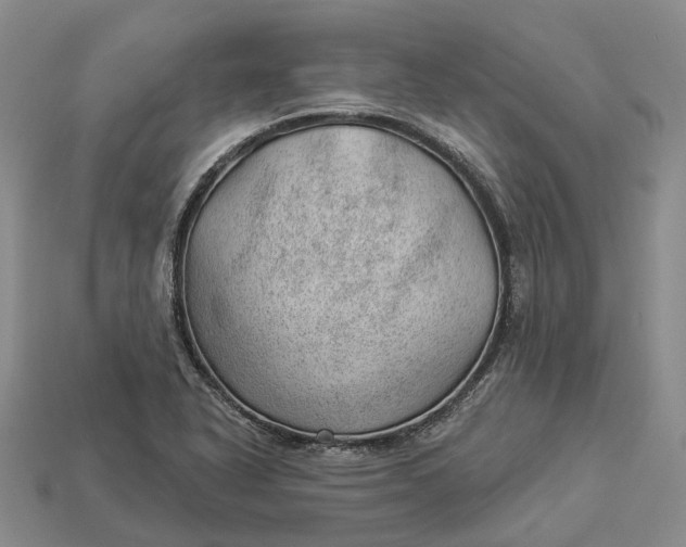 X0000112981318200909101706