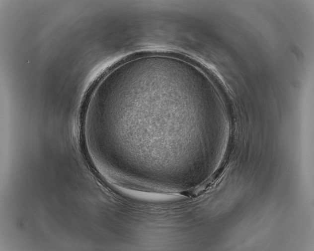 X0000112981319200909101706