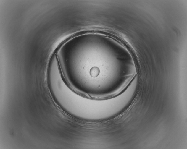 X0000112981320200909101706