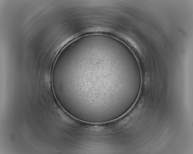 X0000112981321200909101706