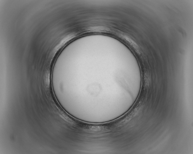 X0000112981322200909101706