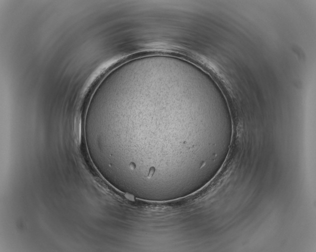 X0000112981323200909101706