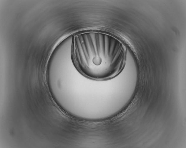 X0000112981324200909101706