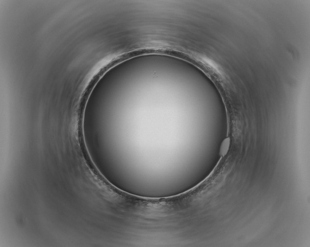 X0000112981326200909101706