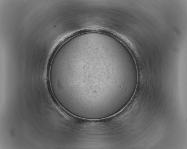 X0000112981327200909101706