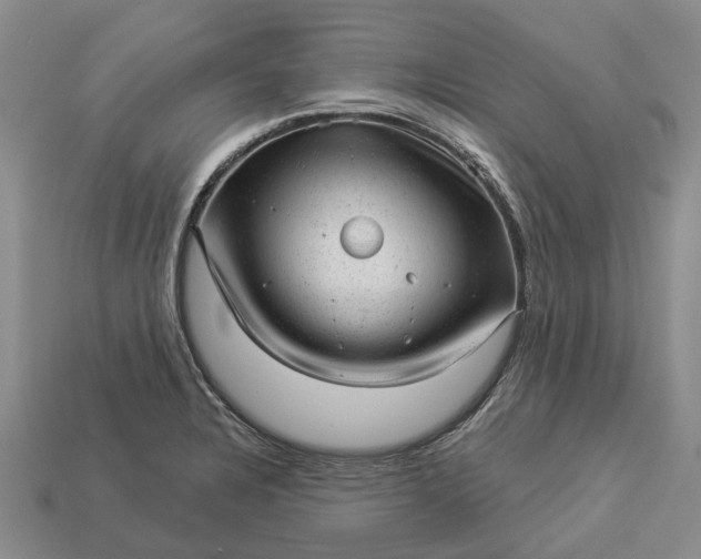 X0000112981328200909101706