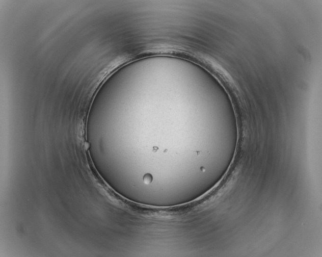 X0000112981329200909101706