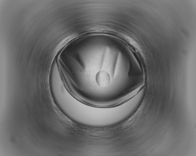 X0000112981330200909101706