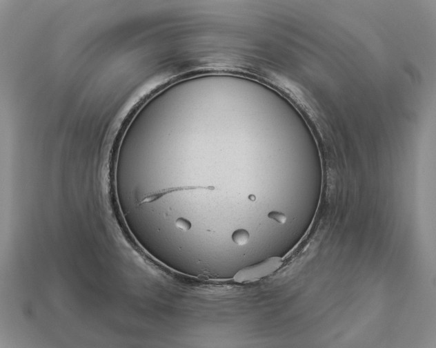 X0000112981331200909101706