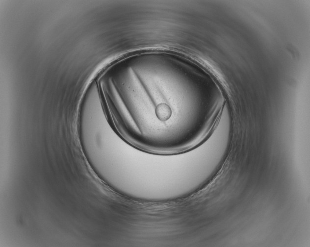 X0000112981332200909101706