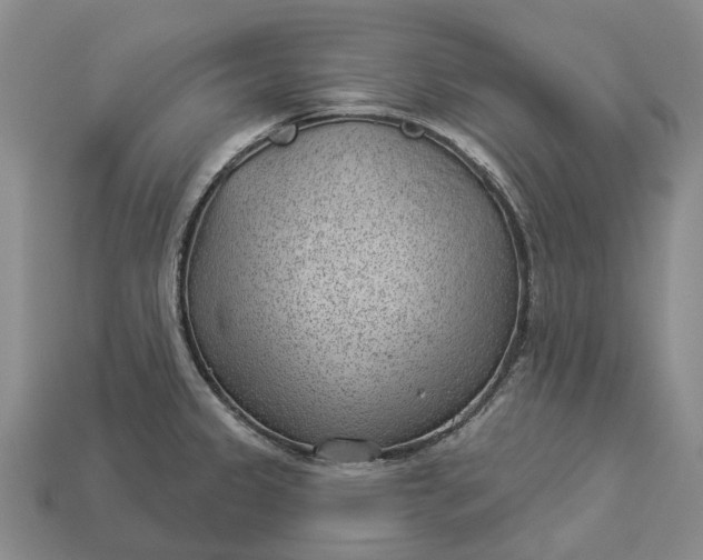 X0000112981333200909101706